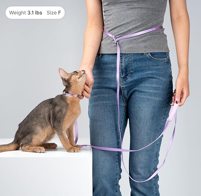 Cat Harness and Leash Set, Lightweight Escape Proof Cat Harness Leash with Padded Handle, Adjustable Cat Leash and Harness for Kitten Small Large Cats Walking Training (Blurple, L)