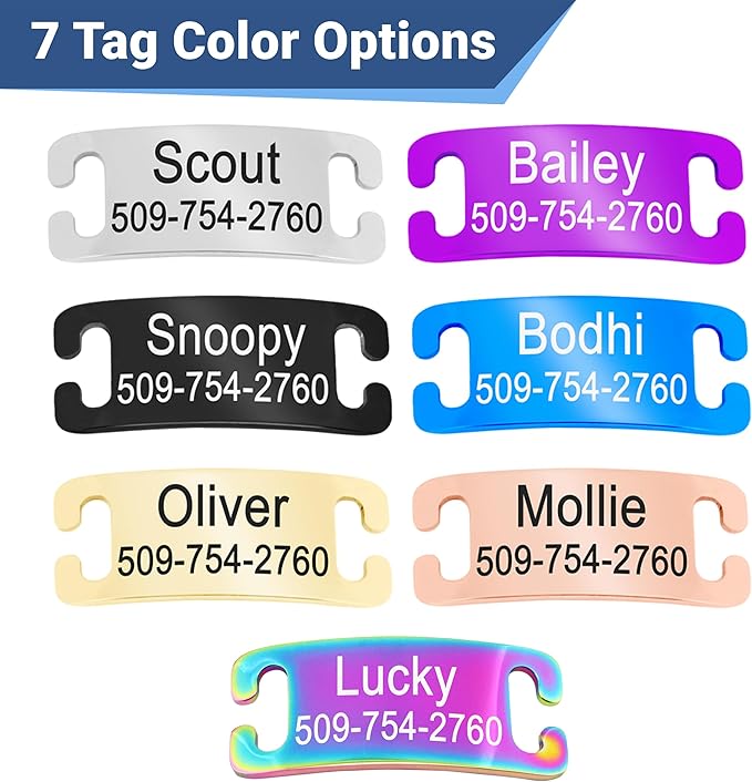 GoTags Personalized Reflective Cat Collars with Tag, Engraved Custom with Name and Phone, Breakaway Collar with Safety Buckle and Bell, Adjustable for Cats and Kitten, (Red with Nameplate)
