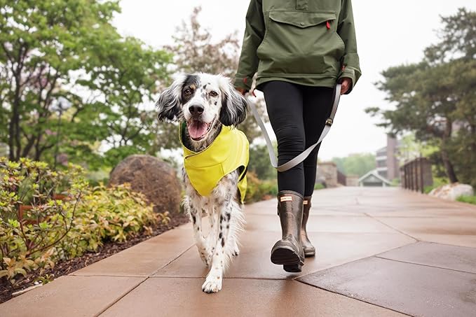 Goldpaw Rainpaw Waterproof Dog Raincoat - Durable Dog Rain Jacket for All Seasons - Easy to Wear, Adjustable, Premium Pet Outerwear - Made in The USA - Machine Washable - Pink - Size 20