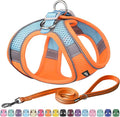 AIITLE Small Harness for Puppy with A Leash - Summer Dog Vest Harness with Super Breathable Mesh, Reflective No-Pull Pet Harness for Outdoor Walking, Camping for Small Dogs, Cats Orange XXS
