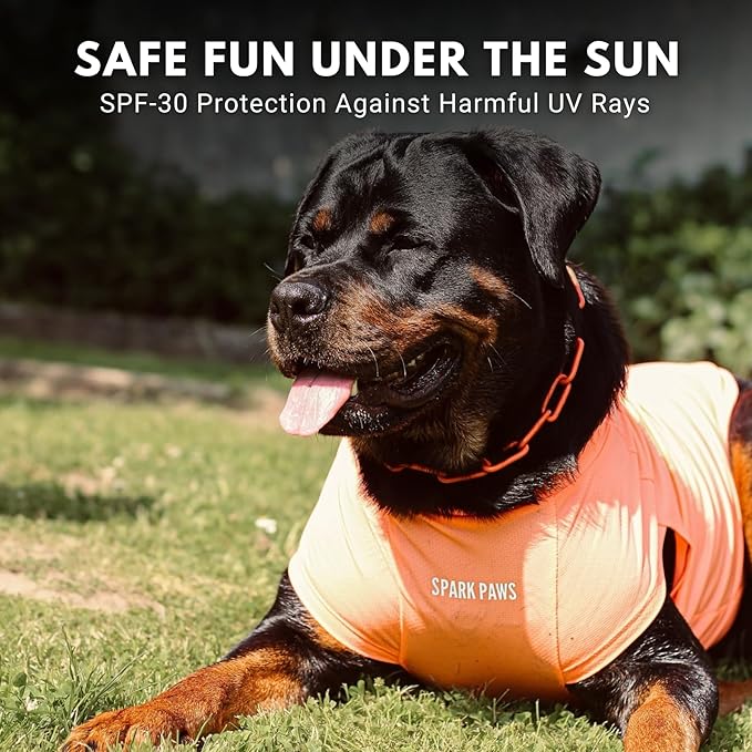 Spark Paws Sunblock Dog T-Shirt, SPF30 Protection, Lightweight Breathable Quick Dry for Dogs with Sensitive Skin - Purple & Peach (Set of 2) - XL