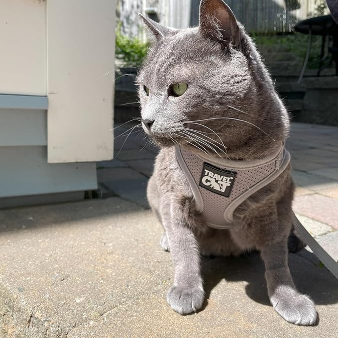 Travel Cat Harness and Leash Set - Adjustable Fit Mesh Cat Harness and Reflective Strap - Comfort Walking Vest for Kitten for Outdoor Walking, Hiking (Large, Grey)
