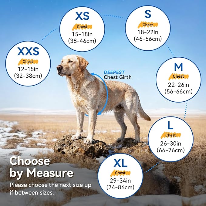 VIVAGLORY Snowrap Dog Coat, Jacket with Harness Hole & Velcro Closure, Dog Coat for Winter & Cold Weather, Fluffy Warm Fleece Lined Reflective Water Resistant for Puppy, L, Northeast Florals-Green