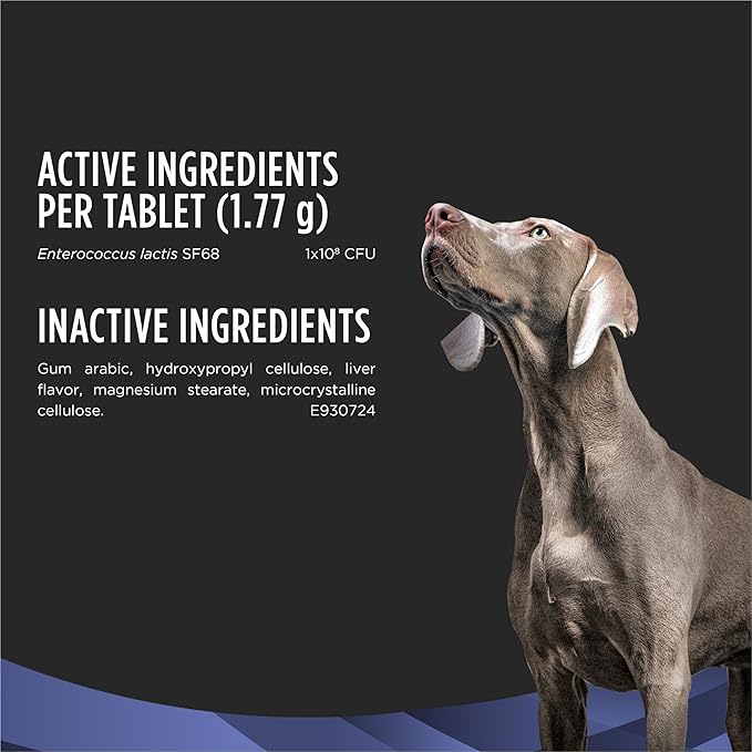 Purina Pro Plan Veterinary Supplements FortiFlora Probiotics for Dogs Chewable Tablets for Digestive Gut Health and Diarrhea - 90 ct. Canister