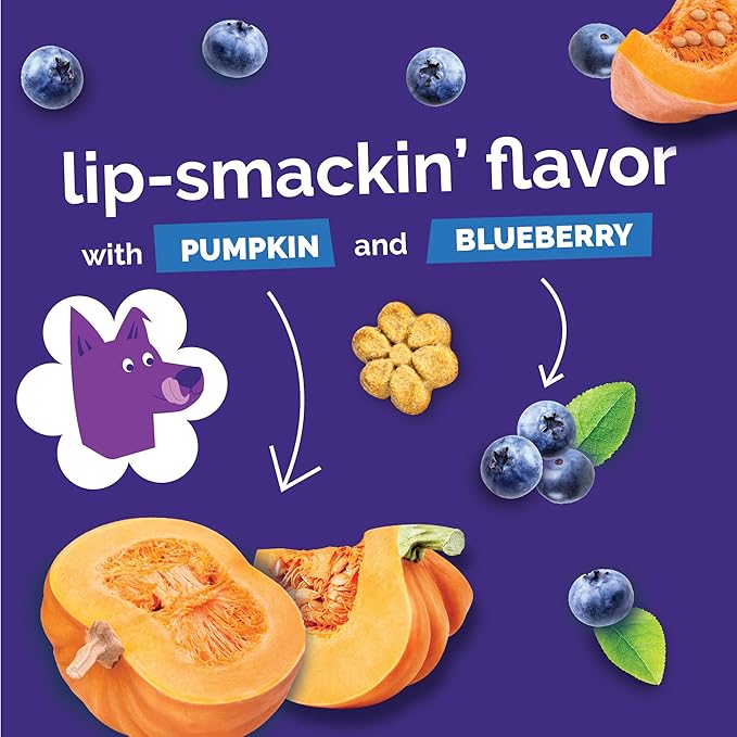 Fruitables Baked Dog Treats, Healthy Pumpkin Treat for Dogs, Low Calorie & Delicious, No Wheat, Corn or Soy, Made in the USA, Pumpkin and Blueberry Flavor, 7oz
