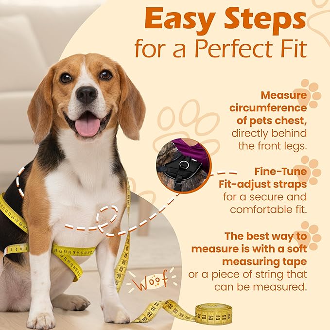 Bark Appeal Black No-Pull Dog Harness for Extra Small Sized Pets – Adjustable, Reflective Vest with 3 Leash Clips for Added Control, Easy Walks & Training – XS