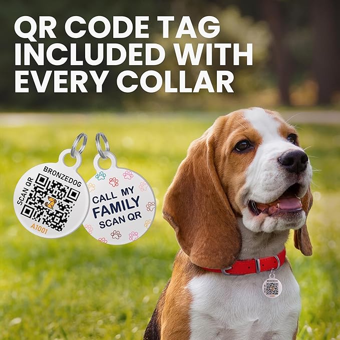 BronzeDog Rolled Leather Dog Collar with QR ID Tag, Adjustable Soft Round Collars for Small Medium Large Dogs Puppy (14" - 16" Neck Size, Nut Brown)