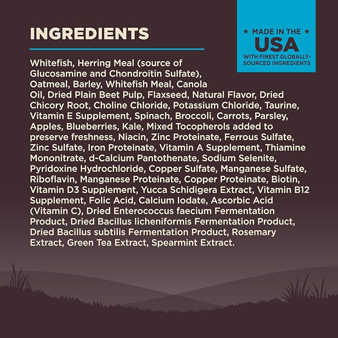 Wellness CORE Dry Dog Food, Wholesome Grains, High Protein, Natural, Ocean Whitefish & Herring Recipe, (4-Pound Bag)