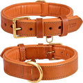 Genuine Leather Dog Collar | Full Grain, Heavy Duty, Comfortable, Padded, Strong | Best for Pups, Small, Medium, Large & XL Breeds (Large (Fit Neck Size 18.5"-22.5"), Tangerine Orange)