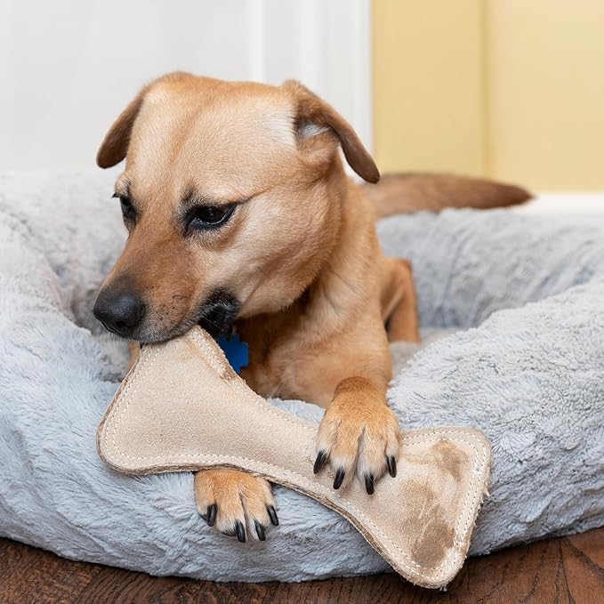 SPOT Dura-Fused Leather Bone- Durable Dog Toy with Squeaker, Real Leather & Jute Fabric, Interactive Toy for Moderate & Aggressive Chewers, Medium & Large Dogs and Puppies, 9 inch