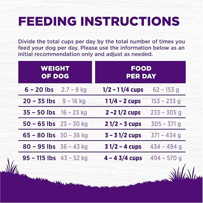 Wellness Complete Health Dry Dog Food with Grains, Natural Ingredients, Made in USA with Real Meat, All Breeds for Adult Dogs (Chicken & Oatmeal, 15-Pound Bag)