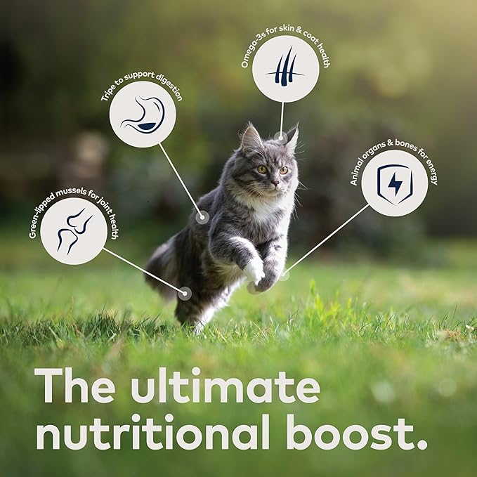 ZIWI Peak Wet Cat Food – All Natural, High Protein, Grain Free, Limited Ingredient, with Superfoods (Beef, Case of 12, 6.5oz Cans)