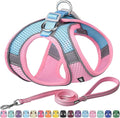 AIITLE Small Harness for Puppy with A Leash - Summer Dog Vest Harness with Super Breathable Mesh, Reflective No-Pull Pet Harness for Outdoor Walking, Camping for Small Dogs, Cats Pink XXS