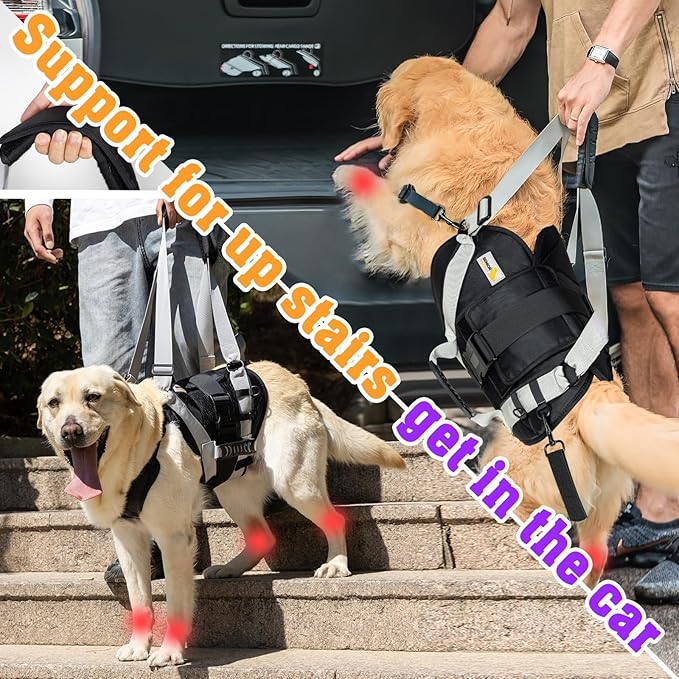 Dog Lift Harness for Large Dogs,Full Body Dog Sling Carrier with Handle,for Up Stair/Back Legs Support/Dogs Joint Injuries/Arthritis (Large)