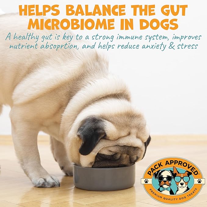 Dog Peanut Butter - with Prebiotic and Probiotic for Dogs to Boost Gut Health - Supports Digestive Support and Immune Support - Peanut Butter Treats - Gut Health (8.46oz)