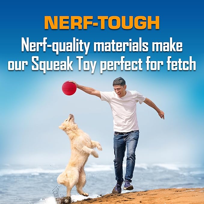 Nerf Dog Classic Squeak Ball Outdoor Dog Toy, 3.8 Inch Dog Ball Fetch Toy, Squeaking Toy for Medium and Large Breeds, Green/Red, 2 Count