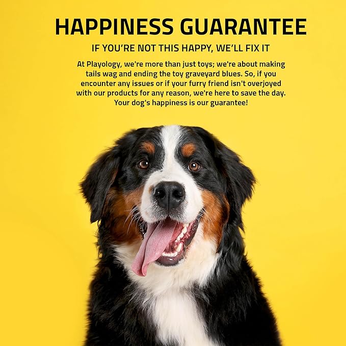 Playology Dog Toys | Squeaky Chew Ball - Bouncy Durable Floating Fetch Ball for Dogs, Value 2-Pack | Medium Bacon Scented Toy - Easy to Clean and Made from Non Toxic Materials