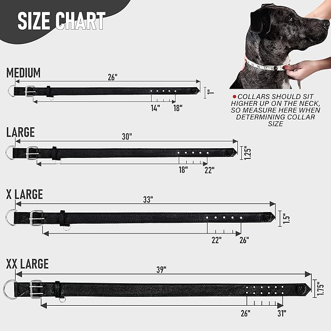 Riparo Dog Collar - Genuine Leather Dog Collars - Heavy Duty Dog Collars for Medium Large and Extra Large Dog Breeds (XXL: 1.75” Wide for 26” - 31” Neck, Black)