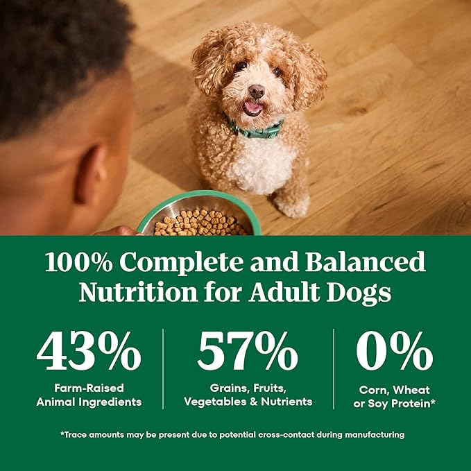 Nutro Natural Choice Chicken & Brown Rice Adult Small Bites Dog Food Recipe, 5 lb. Bag
