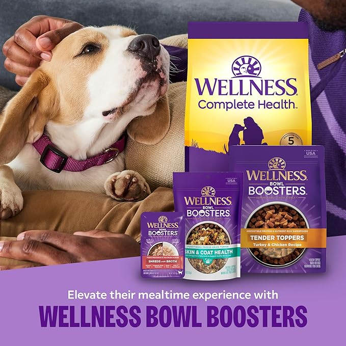 Wellness Complete Health Sensitive Skin & Stomach Dry Dog Food, Wholesome Grains, Natural, Salmon & Rice Recipe, (5-Pound Bag)