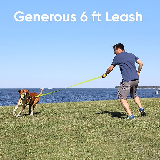 Pawtitas 6 FT Comfortable Pet Puppy Leash - Reflective Dog Leash with Heavy Duty Training Handle & Highly Reflective Threads - Available in Small Camo Pink