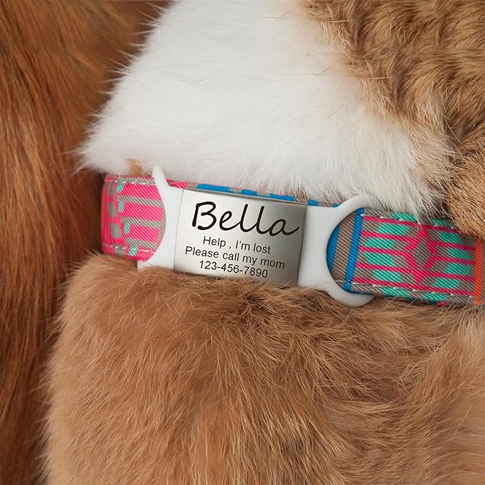 Anavia Slide On Silent Pet ID Tags, S/M/L/XL Personalized Multi-Color Silicone Band Cat Dog Name Tags, Customized Engraved Stainless Steel, Chew-Proof Quiet Dog Collar Tags (Large, Blue)