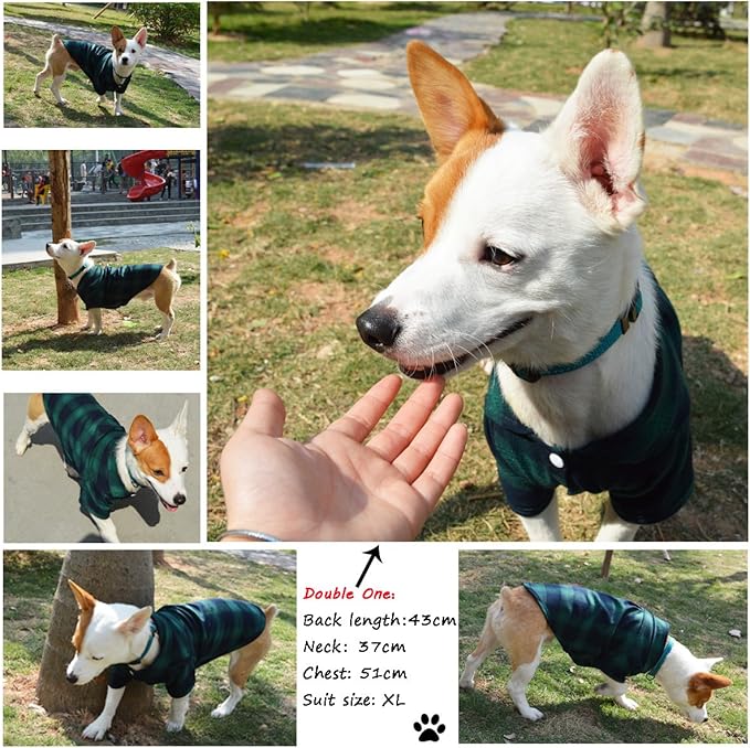 Koneseve Dog Shirt, Pet Plaid Clothes Shirt T-Shirt, Sweater Bottoming Shirt for Small Dog Cat Puppy Grid Adorable Wearing Stylish Cozy Halloween,Christmas Costumes (Green;M/Medium)