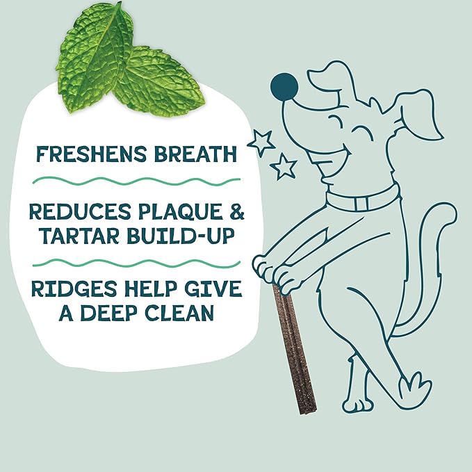 Shameless Pets Toothberry Dental Chews for Dogs – Natural Dog Dental Sticks for Fresh Breath, Teeth Cleaning & Removes Tartar, Grain-Free Dog Treats, No Corn or Soy, 32 Sticks
