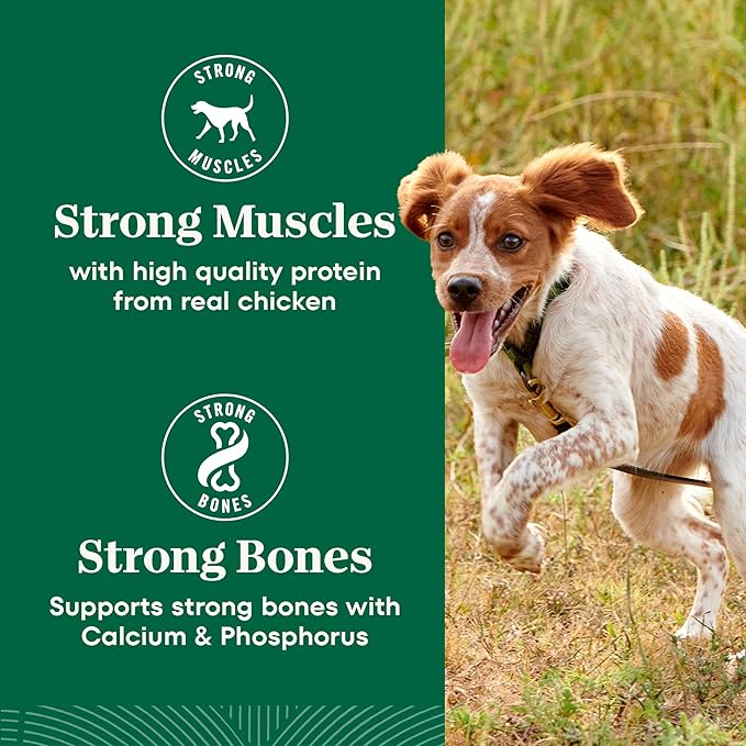 Nutro Natural Choice Chicken & Brown Rice Small Breed Dog Food Dry Recipe, 13 lb. Bag