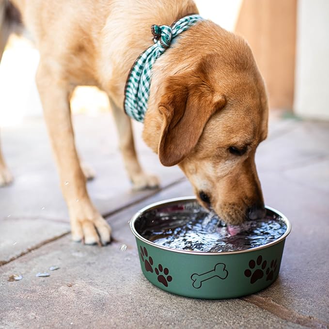 Loving Pets Bella Dog Bowls- Stainless Steel Dog & Cat Bowls - Spill Proof Dog Food Bowl, Cat Bowl, Puppy Essentials & Pet Supplies Great for Home & Travel (Small 10-20 lbs, Artichoke)