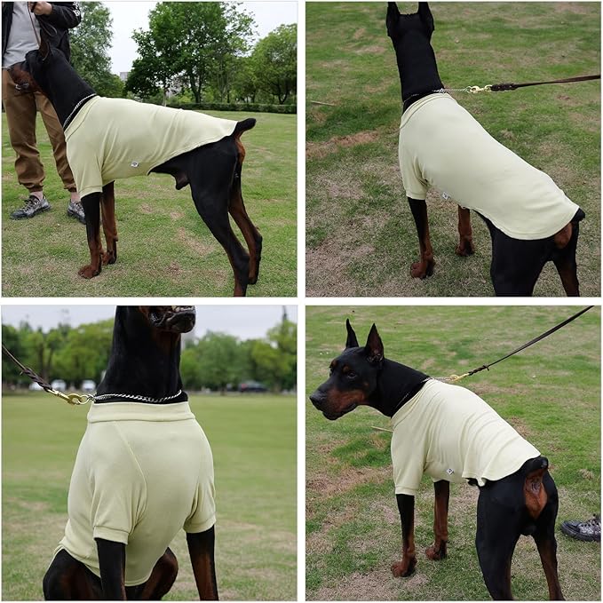 Lovelonglong Ribbed Dog T-Shirt Cotton Knitted Dog Sweaters for All Season Pet T-Shirts for Large Medium Small Dogs Chartreuse L