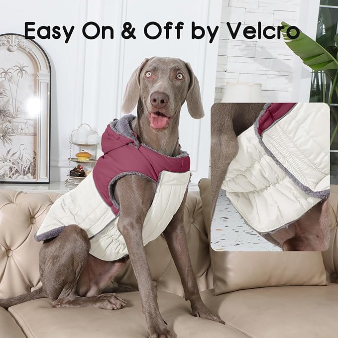 Detachable Hooded Dog Coat with Harness for Medium Dogs,Super Warm Fleece Puppy Jacket for Cold Winter Doggie Coats,Red L