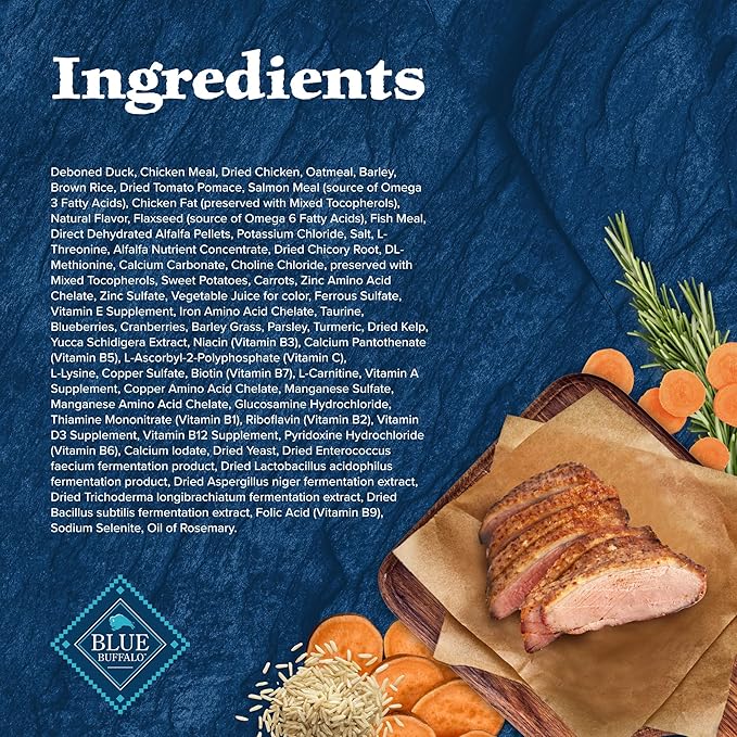 Blue Buffalo Wilderness Natural High-Protein Dry Food for Adult Dogs, WITH WHOLESOME GRAINS, Duck, 4.5-lb Bag