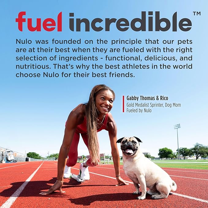 Nulo Frontrunner Ancient Grains High-Protein Dog Food, Chicken, Oats, & Turkey Recipe- Natural Dry Dog Food with Probiotics, Grain-Inclusive Kibble for Adult Dogs, 25 lb Bag