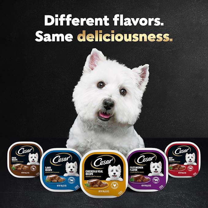 Cesar Wet Dog Food Classic Loaf in Sauce Breakfast and Dinner Mealtime Variety Pack, 3.5 oz. Easy Peel Trays (12 Count, Pack of 1)