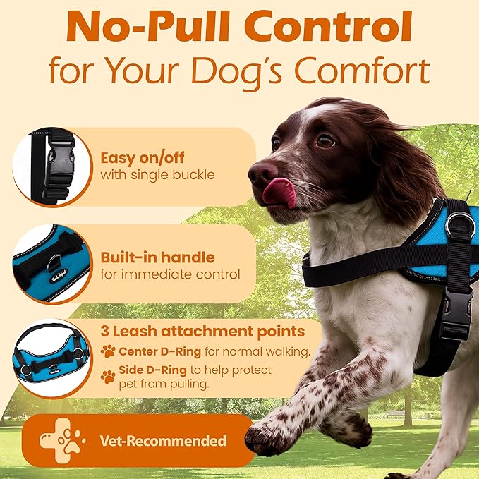 Bark Appeal Aqua Blue No-Pull Dog Harness for Small to Medium Sized Pets – Adjustable, Reflective Vest with 3 Leash Clips for Added Control, Easy Walks & Training – Medium