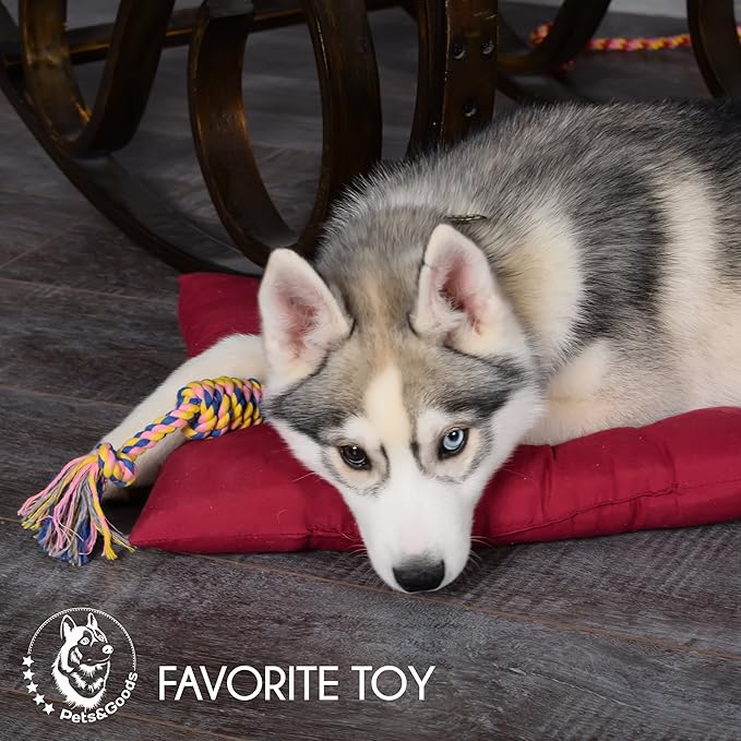 Pets&Goods Dog Rope Chew Toys – 5-Pack Durable Cotton Tug Toys for Puppies & Small/Medium Dogs – Dental Cleaning, Teething Relief, Washable & Safe Play