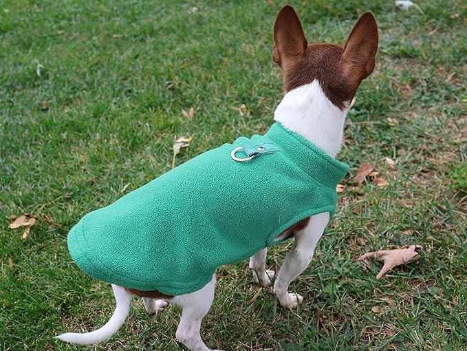 JACKO & CO - Fleece Vest Dog Sweater with Leash Ring - Soft, Warm & Lightweight Pullover Coat for Small & Medium Dogs, Puppies & Cats - Cozy Fall/Winter/Spring Pet Jacket (Green, X-Small 2-4lbs)
