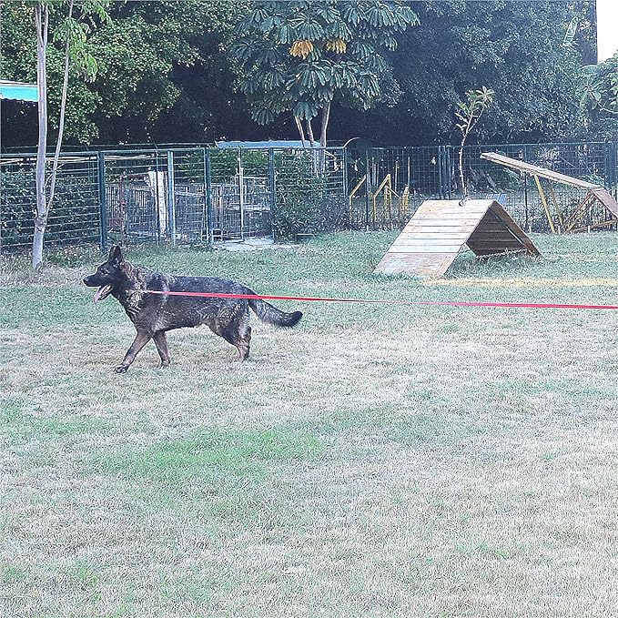 Dog/Puppy Obedience Recall Training Agility Lead - 20ft Long Training Leash，3/4in Wide - Great for Play, Camping, or Backyard (20 Feet, Black)