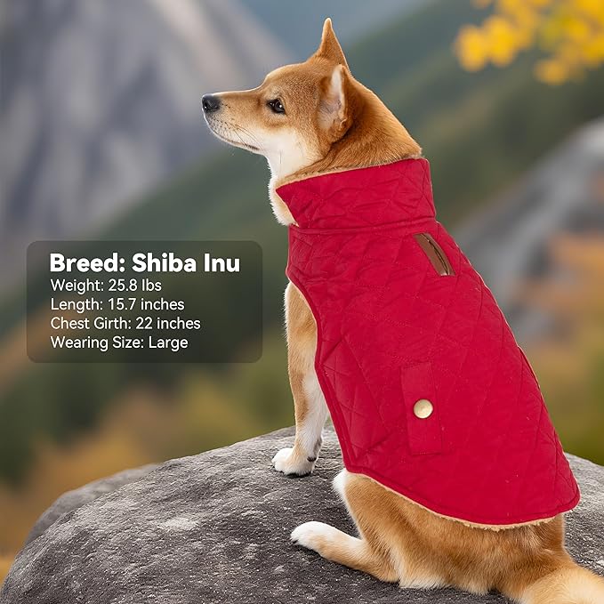 Dog Coat, Warm Winter Dog Waterproof Jacket for Medium Dogs, Fleece Lined Adjustable Dogs Coats Cold Weather Windproof Doggie Snowsuit with Leash Hole, Red X-Large