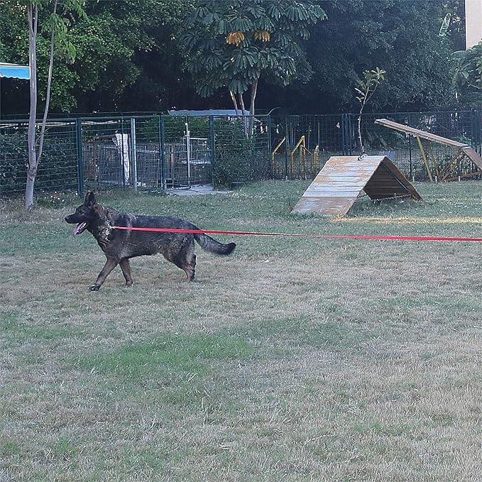 Dog/Puppy Obedience Recall Training Agility Lead - 15ft 20ft 30ft 40ft 50ft Training Leash - Great for Play, Camping, or Backyard - Pink 50ft (Pink, 50 Feet)