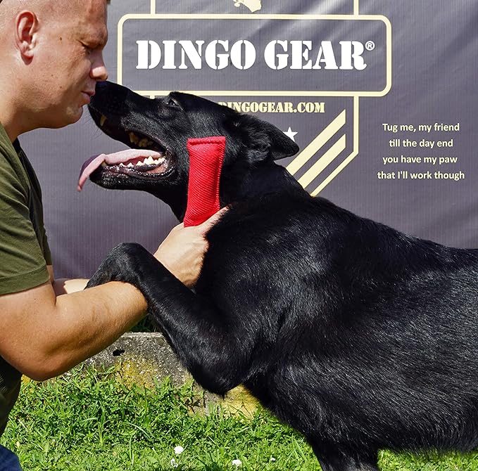 Dingo Gear French Linen tug Toy for Dog, Dog Bumper for Training, Agility, tug of war, Dog bite Pillow for Strong Dog, 1handle 6" Pink S00307