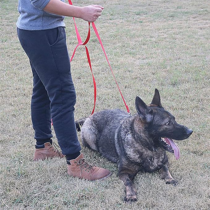 Dog/Puppy Obedience Recall Training Agility Lead -15ft 20ft 30ft 40ft 50ft Training Leash - Great for Play, Camping, or Backyard - Black 50ft