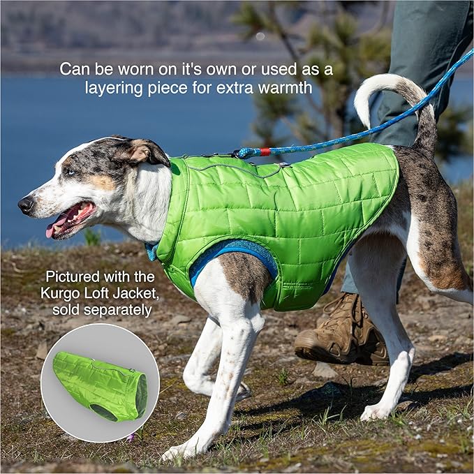 Kurgo Core Dog Sweater with Fleece Lining - Cold Weather Pet Jacket, Zipper Opening, Adjustable Neck - Heather Black, Large