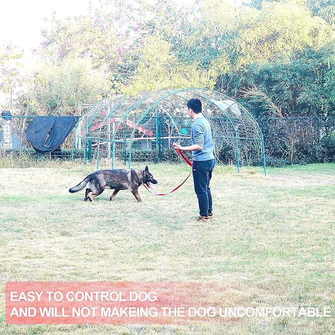 Dog/Puppy Obedience Recall Training Agility Lead - 15ft 20ft 30ft 40ft 50ft Training Leash - Great for Training, Play, Camping, or Backyard（Red，40 Feet）