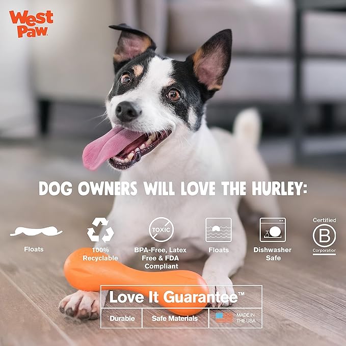 WEST PAW Zogoflex Hurley Dog Bone Chew Toy – Floatable Pet Toys for Aggressive Chewers, Catch, Fetch – Bright-Colored Bones for Dogs – Recyclable, Dishwasher-Safe, Non-Toxic, Small, Granny Smith