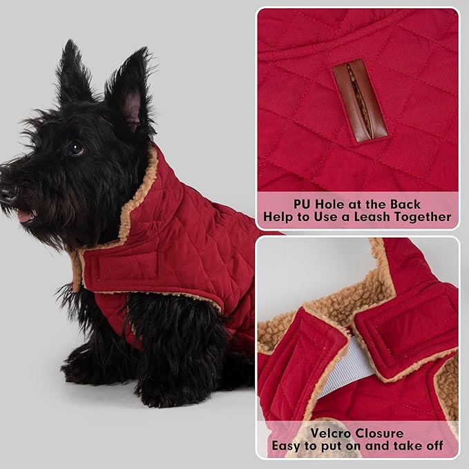 azuza Dog Jacket Waterproof & Windproof Dog Coat for Small Dogs with Thick Fleece, High Collar with Leash Hole, Adjustable Velcro & Elastic Belly, Red, S