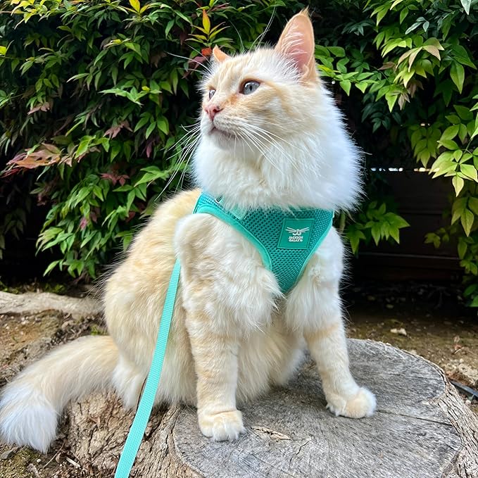 Travel Cat x Jackson Galaxy Harness and Leash Set - Adjustable Fit Mesh Cat Harness with Nylon Leash - Comfort, Escape Proof Harness for Cats, Kitten for Outdoor Walking, Hiking (Medium)