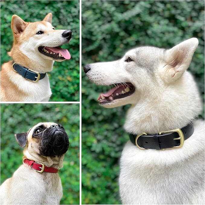 Tuff Pupper Classic Heavy Duty Dog Collar | 10x Stronger Than Leather | 100% Waterproof & Odor Proof Dog Collar | Tough Rust-Proof All Metal Hardware