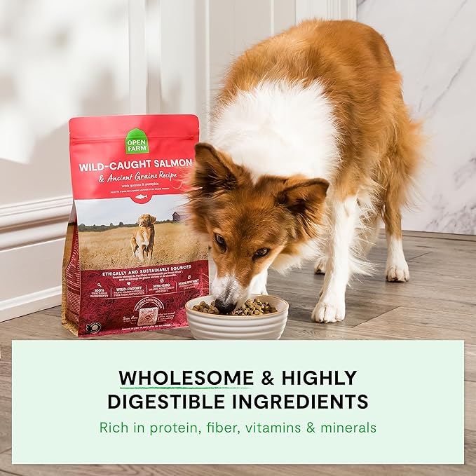 Open Farm, Ancient Grains Dry Dog Food, Protein-Rich & Nutrient Dense, 90% Animal Protein Mixed with Non-GMO Fruits, Veggies and Superfoods, Harvest Chicken Recipe, 22lb Bag
